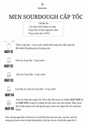 Nuôi men cấp tốc theo ct của chị Breadaholic Praha